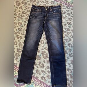 American Eagle Outfitters Denim-X Stretch Classic Skinny Jeans - Size 10